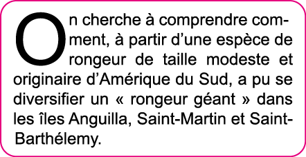 On cherche   comprendre comment,   partir d une esp ce de rongeur de taille modeste et originaire d Am rique du Sud,    