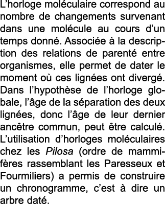L horloge mol culaire correspond au nombre de changements survenant dans une mol cule au cours d un temps donn   Asso   