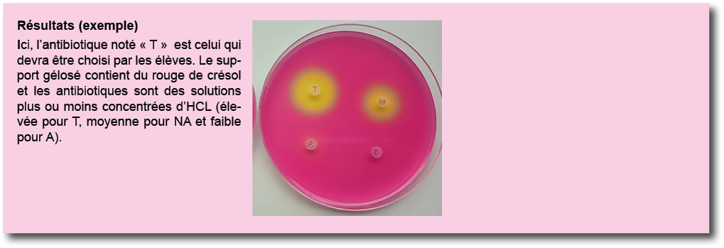 R sultats (exemple) Ici, l antibiotique not    T   est celui qui devra  tre choisi par les  l ves  Le support g los     