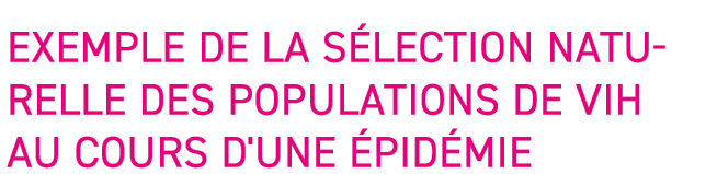 Exemple de la s lection naturelle des populations de VIH au cours d'une  pid mie