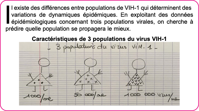Il existe des diff rences entre populations de VIH-1 qui d terminent des variations de dynamiques  pid miques  En exp   