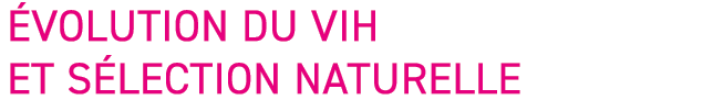  volution du VIH et s lection naturelle