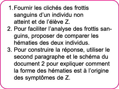 Fournir les clich s des frottis sanguins d un individu non atteint et de l  l ve Z  Pour faciliter l analyse des frot   
