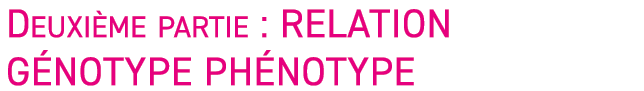 Deuxi me partie : Relation g notype ph notype