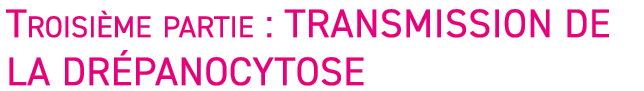 Troisi me partie : transmission de la dr panocytose