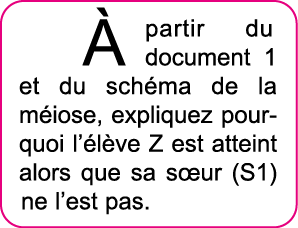   partir du document 1 et du sch ma de la m iose, expliquez pourquoi l  l ve Z est atteint alors que sa s ur (S1) ne    