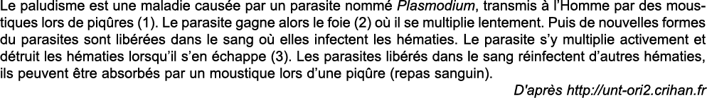Le paludisme est une maladie caus e par un parasite nomm  Plasmodium, transmis   l Homme par des moustiques lors de p   