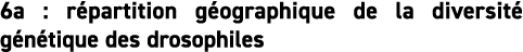 6a : r partition g ographique de la diversit  g n tique des drosophiles