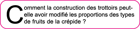 Comment la construction des trottoirs peut-elle avoir modifi  les proportions des types de fruits de la cr pide  