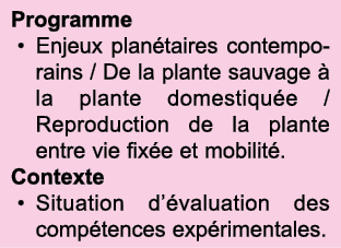 Programme Enjeux plan taires contemporains   De la plante sauvage   la plante domestiqu e   Reproduction de la plante   