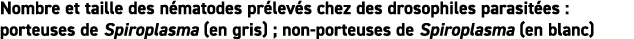Nombre et taille des n matodes pr lev s chez des drosophiles parasit es : porteuses de Spiroplasma (en gris) ; non-po   
