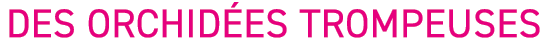 Des Orchid es trompeuses