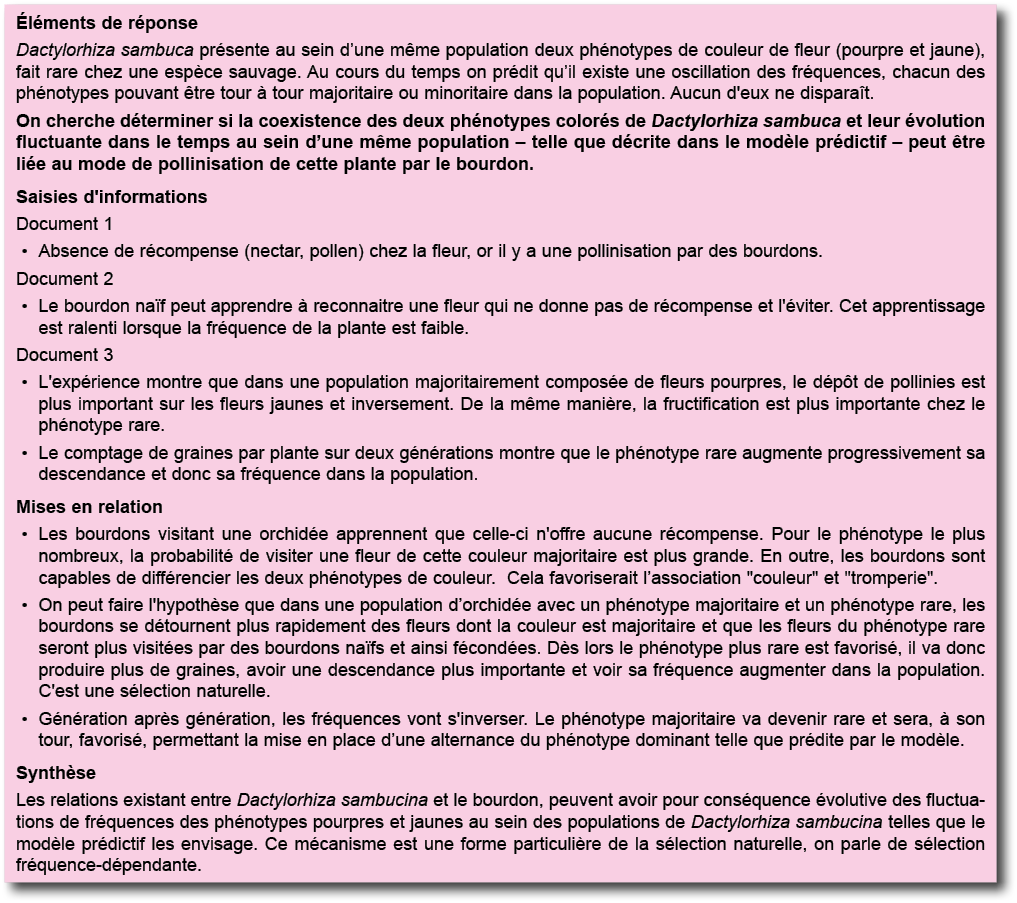  l ments de r ponse Dactylorhiza sambuca pr sente au sein d une m me population deux ph notypes de couleur de fleur (   