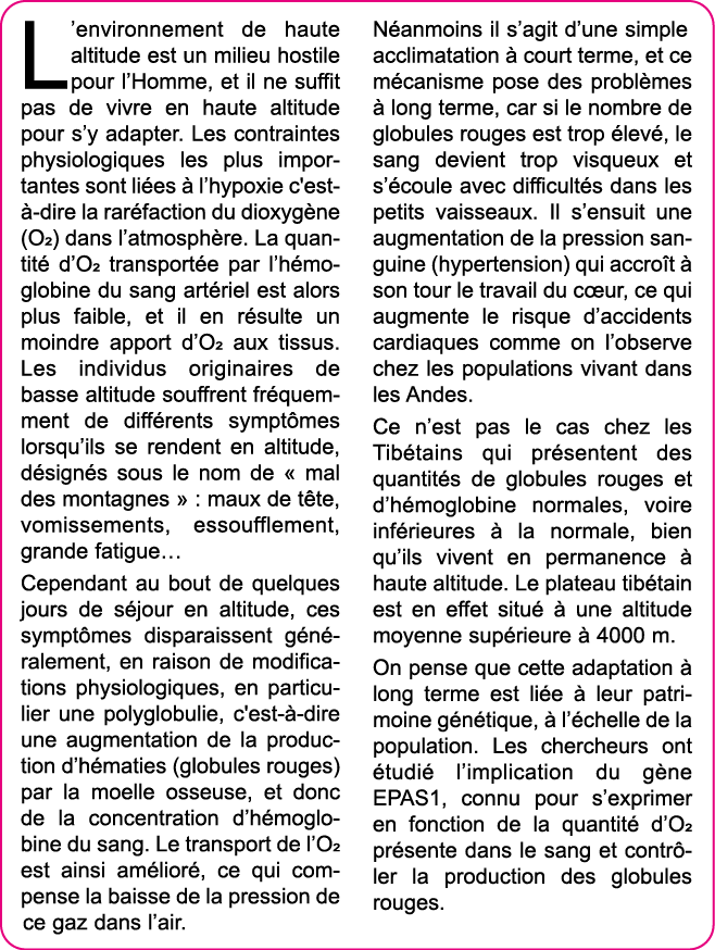 L environnement de haute altitude est un milieu hostile pour l Homme, et il ne suffit pas de vivre en haute altitude    