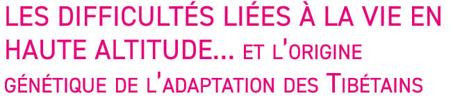 Les difficult s li es   la vie en haute altitude  et l origine g n tique de l adaptation des Tib tains