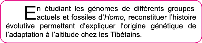 En  tudiant les g nomes de diff rents groupes actuels et fossiles d Homo, reconstituer l histoire  volutive permettan   