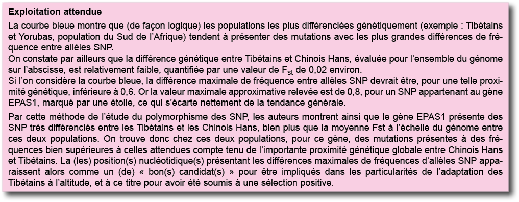 Exploitation attendue La courbe bleue montre que (de fa on logique) les populations les plus diff renci es g n tiquem   