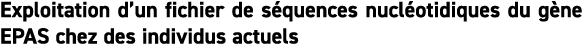Exploitation d un fichier de s quences nucl otidiques du g ne EPAS chez des individus actuels