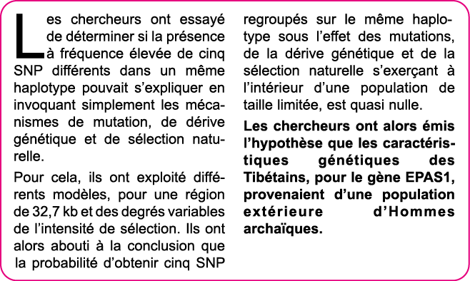 Les chercheurs ont essay  de d terminer si la pr sence   fr quence  lev e de cinq SNP diff rents dans un m me haploty   