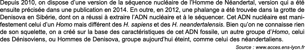 Depuis 2010, on dispose d une version de la s quence nucl aire de l Homme de N andertal, version qui a  t  ensuite pr   