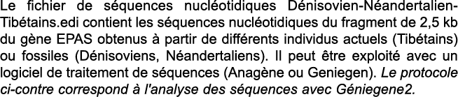 Le fichier de s quences nucl otidiques D nisovien-N andertalien-Tib tains edi contient les s quences nucl otidiques d   