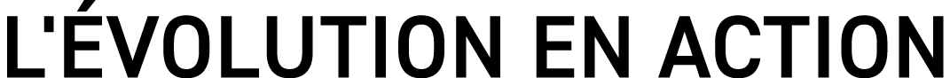 L' volution en action